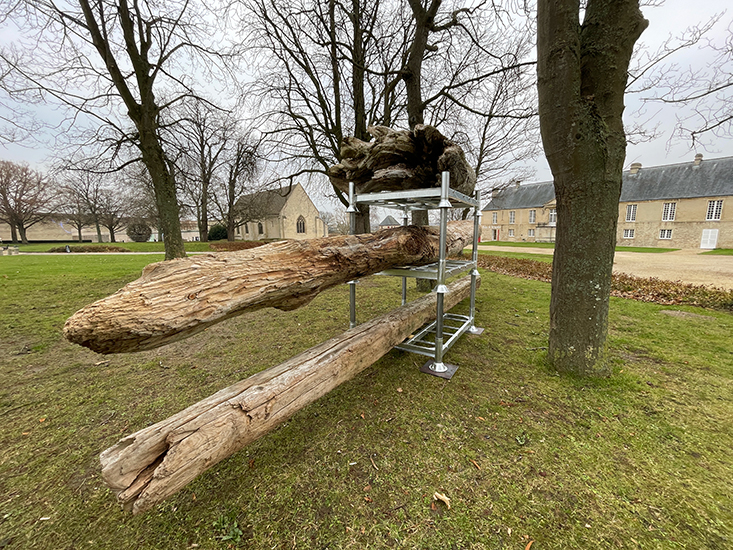 CLARA, Témoins, installation dans le parc de sculptures du Musée des Beaux-arts de Caen, 2021, dépôt permanent